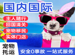 普陀山空运地址国际宠物托运 【国